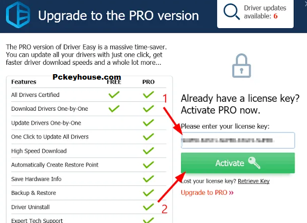 Driver Easy Pro Key