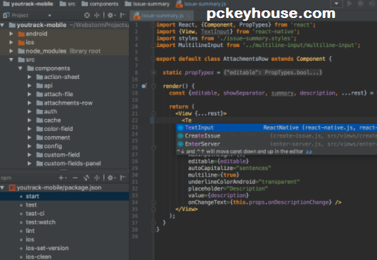 jetbrains phpstorm cracked license key