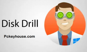 Disk Drill Pro 5.3.825.0 for windows download free