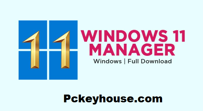 windows 11 manager crack